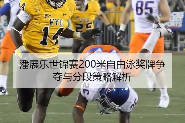 潘展乐世锦赛200米自由泳奖牌争夺与分段策略解析