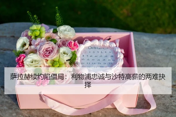 sa-la-he-xu-yue-xian-jiang-ju-li-wu-pu-zhong-cheng-yu-sha-te-gao-xin-de-liang-nan-jue-ze-3-463.jpg