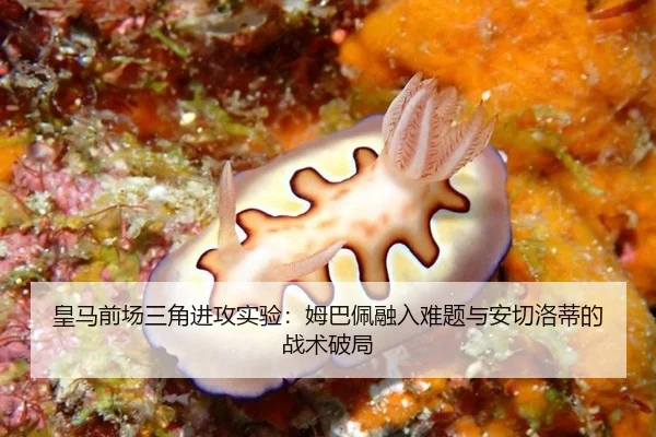 皇马前场三角进攻实验：姆巴佩融入难题与安切洛蒂的战术破局