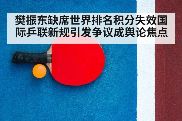 table tennis racket