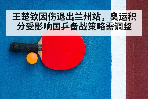 table tennis racket