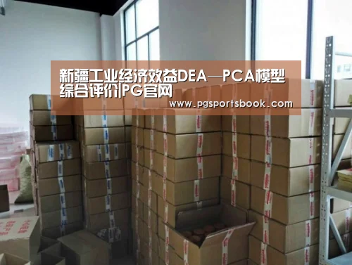 新疆工业经济效益DEA—PCA模型综合评价|PG官网